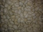 Erzurum yöresel gıda-hınıs(horoz)fasulyesi 1 kg - 2