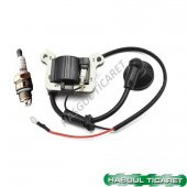 HSGL TIRPAN SIRT VE YAN MODELLER ATEŞLEME BOBİNİ BUJİ SET CG430 CG520 thumbnail 1