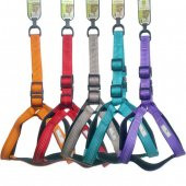 Nunbell Köpek Gögüs Tasması 2.5 cm - 1