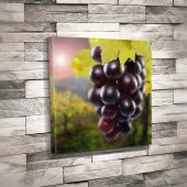 Siyah - Üzüm - Salkım - Üzüm Bağı - Tarla- Gıda - Besin - Doğa-Tuval Dekoratif Kanvas Tablo 50x50cm - 1