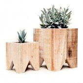 Case Bitki Saksı thumbnail 1