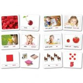 Zeka Yayınevi Bebek Kavram Kartları - (16-48 Ay) Sağ Beyin Zeka K - 2