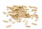 Cats Best Smart Pellet Kedi Kumu 5 Kg - 3