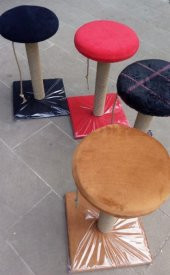 Bedspet Oturaklı Kedi Tırmalama Tahtası Yuvarlak Kalın 50cm - 4