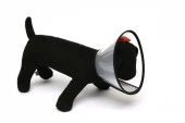Nunbell Elizabeth Yakalık XL Boynu 38-43cm Olan Köpeklere /20cm Genişlik - 1