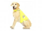 Pawise Reflektörlü Köpek Yeleği Medium - 1