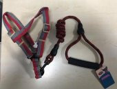ANS Fosforlu Köpek Yumuşak Bel Tasması Takım Kırmızı Gri 15-25 Kg Köpeklere - 1