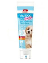 Bio Pet Active Vitalidog Junior Yavru Köpekler İçin Vitamin Macunu 100 Ml - 1