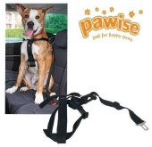 Pawise Emniyet Kemer Tokalı Tasma M 50-70 Cm - 1
