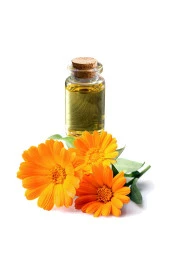 Balen Aynısefa Yağı (Maserasyon) 20 ml 3 Adet - 3