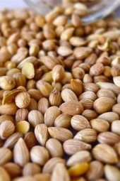 Organik Bitkim Saf Mahlep Toz 200 gr - 3