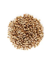 Organik Bitkim Tane Kişniş 250 gr thumbnail 3