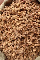 Organik Bitkim Toz Kök Havlıcan (Öğütülmüş) 500 gr - 3