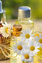 Balen Papatya Yağı (Maserasyon) 20 ml 3 Adet thumbnail 3