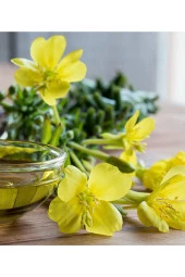 Balen Primroz Yağı Soğuk Pres 20 ml thumbnail 3