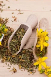 Organik Bitkim Sarı Kantaron Çiçeği - Binbirdelik Otu 1000 gr thumbnail 3