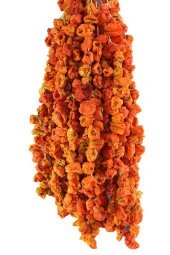 Organik Bitkim Dolmalık Biber Kurusu-Tatlı (Antep) 1 Bağ (20-25) thumbnail 1