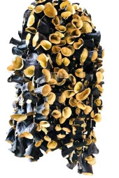 Organik Bitkim Dolmalık Patlıcan Kurusu 1 Bağ (20-25 Adet) thumbnail 1