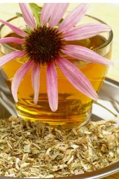 İstanbul Baharat Ekinezya (Kirpi Otu) 4x40 gr thumbnail 3