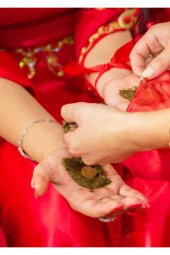 Organik Bitkim Kına - Orijinal Suriye Kınası 1 kg thumbnail 3