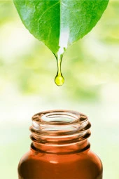 Balen Menengiç (Bıttım-Çitlenbik) Yağı Soğuk Pres 20 ml 2 Adet - 4