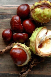 İstanbul Baharat At Kestanesi 4x100 gr thumbnail 4