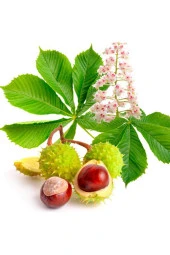 İstanbul Baharat At Kestanesi 4x100 gr thumbnail 5