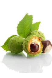 Balen At Kestanesi Ekstraktı 375 Mg 60 Kapsül x 3 Adet thumbnail 3