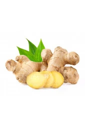 Organik Bitkim Zencefil Tane 500 gr thumbnail 3