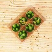 6 lı Kaktüs Mumlar Şık Paketli Model 2 - 2