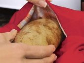 Kumpir Pişirme Kesesi Potato Express - 4