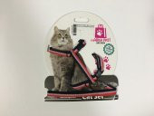 Marka Pati Siyah Beyaz Kırmızı Çizgili Kedi Gezdirme Tasması - 1