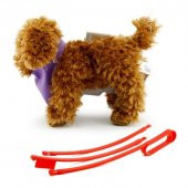 Yürüyen Köpeğim Moose - 2