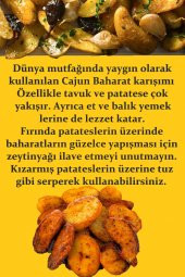 Cajun Baharatı 250 gr (Patates Baharatı) - 2