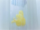 Taç Tül Perde-Çocuk odaları için - Renk: Ekru thumbnail 11