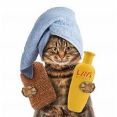 Kedi Yıkama Filesi Tırnak Kesme Filesi Kedi Bakım Sağlık Ürünü - 4