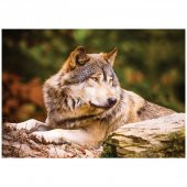 Kurt Yapboz 100 Parça - 1