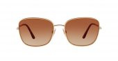 Dolce & Gabbana DG2223 (1313/13) Kadın Güneş Gözlüğü - 2