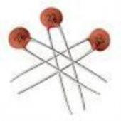 22pf Mercimek Kapasitör thumbnail 2