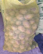 Patates Tohumu 5 Kg - 2