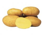 Agria Patates Tohumu 1 Kg - 1