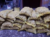 Agria Patates Tohumu 1 Kg - 4