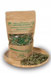 Melisa (Melissa officinalis)-20 Gr - 1