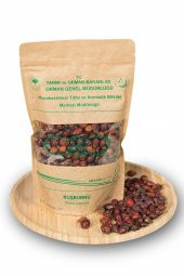 Kuşburnu (Rosa canina)-200 Gr - 1