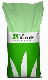 Bermuda Grass Çim Tohumu (Cynodon Dactylon) 1 Kg - 1
