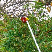 Wolf Garten RR 400T Teleskopik Yüksek Dal Budama Makası - 2