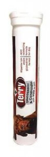 Terry Glucosamin&Condroidin With Msm For Dog Köpekler İçin Eklem Güçlendirici - 1