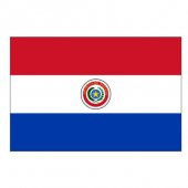 Paraguay Gönder Ülke Bayrağı 150x225cm - 1