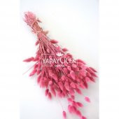 Kuru Çiçek Pamuk Otu (Yerli) Pastel Pembe - 1