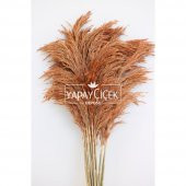 Şoklanmış Pampas 10lu Büyük Demet 100 cm(Karamel Turuncu) - 1